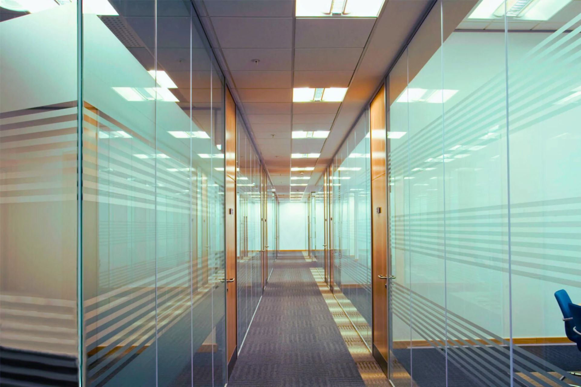 Glass Partition